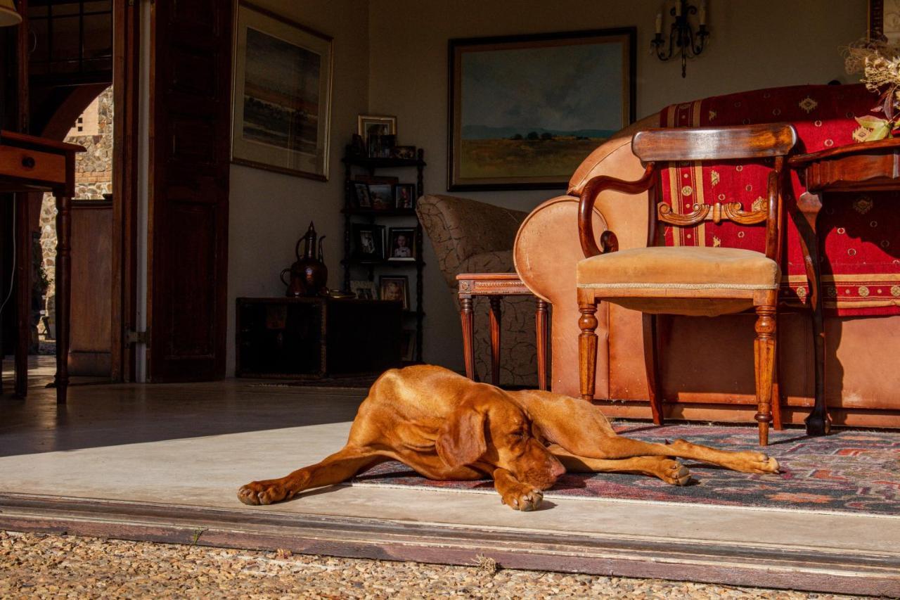 ステレンボッシュ Casa Mori House Bed & Breakfast エクステリア 写真